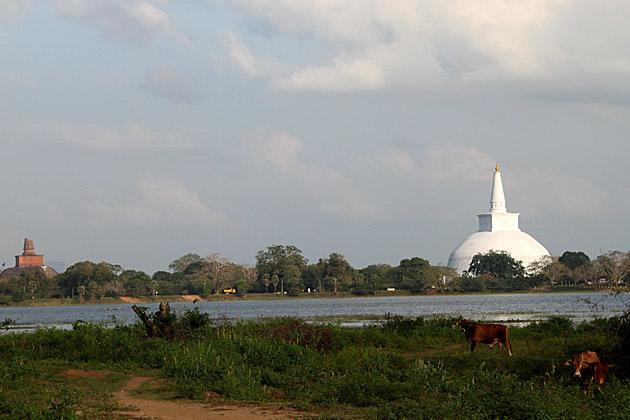 Hotel Flamingo Anuradhapura Exterior photo